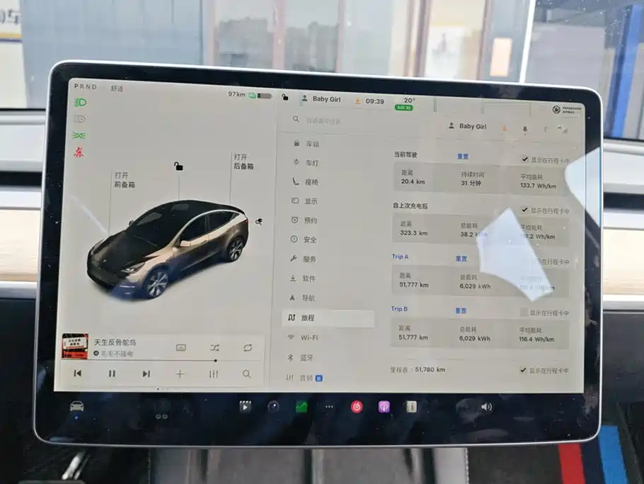 Tesla Model Y — миниатюра 14