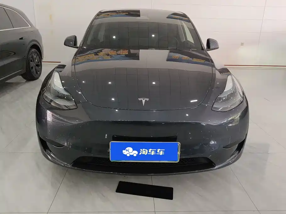 Tesla Model Y — миниатюра 2