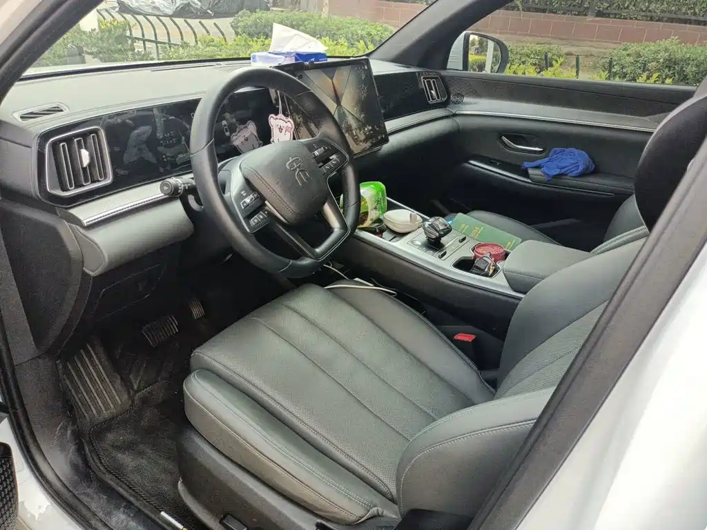 BYD Pro New Energy — миниатюра 11
