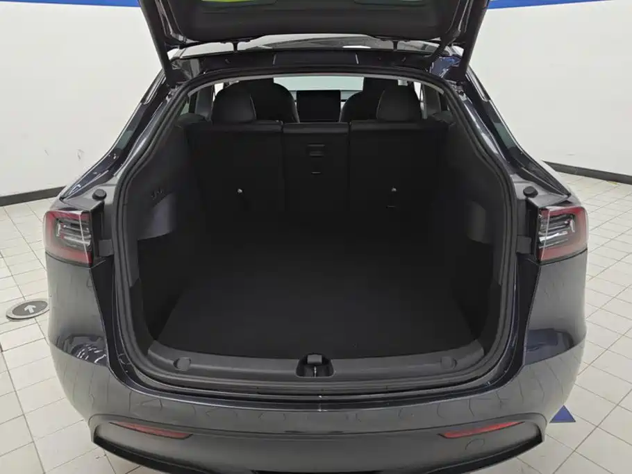 Tesla Model Y — миниатюра 4