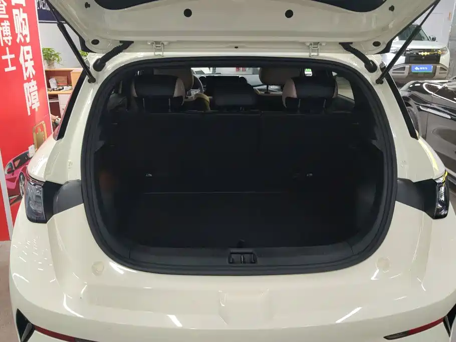 BYD Dolphin — миниатюра 4