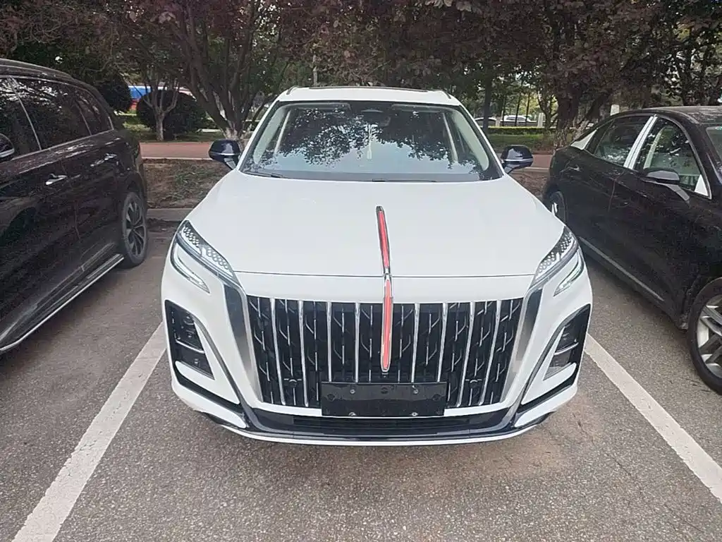 Hongqi Hongqi HS3 — миниатюра 3