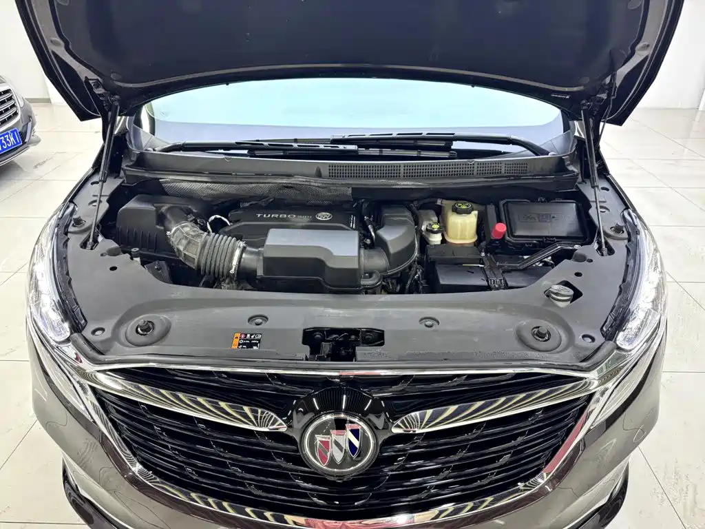 Buick GL8 — миниатюра 23
