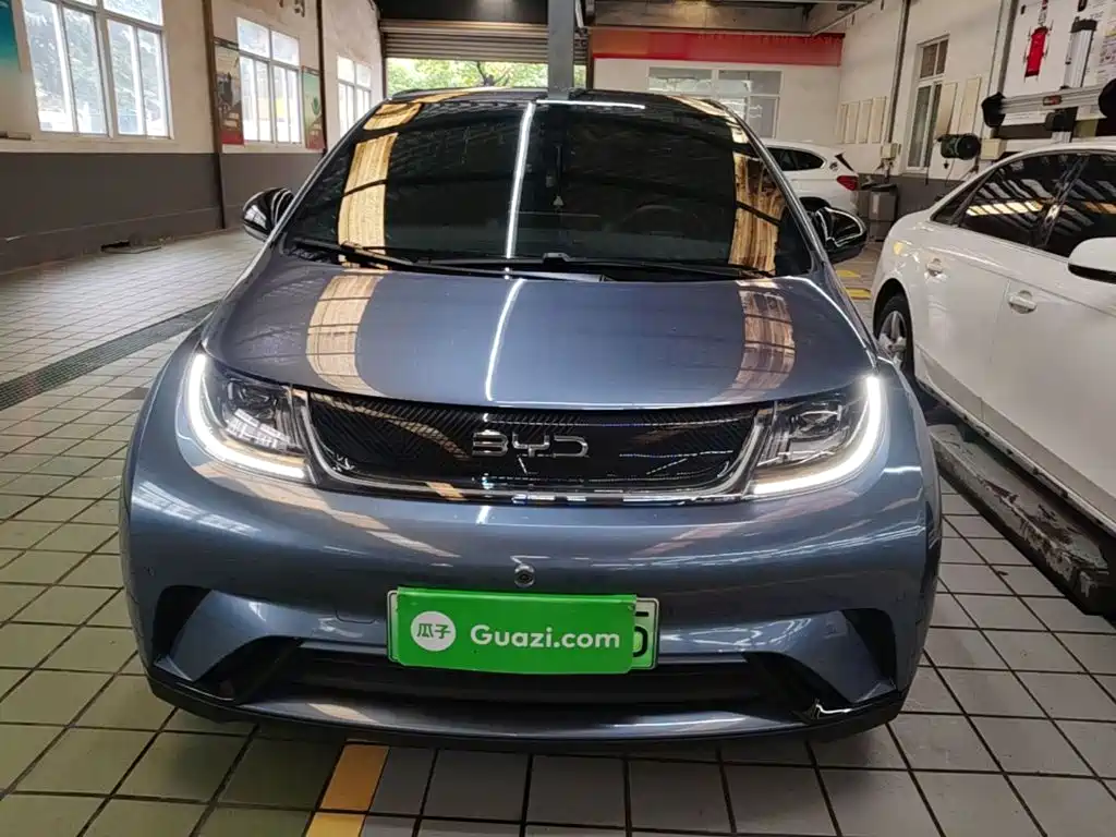 BYD Dolphin — миниатюра 3