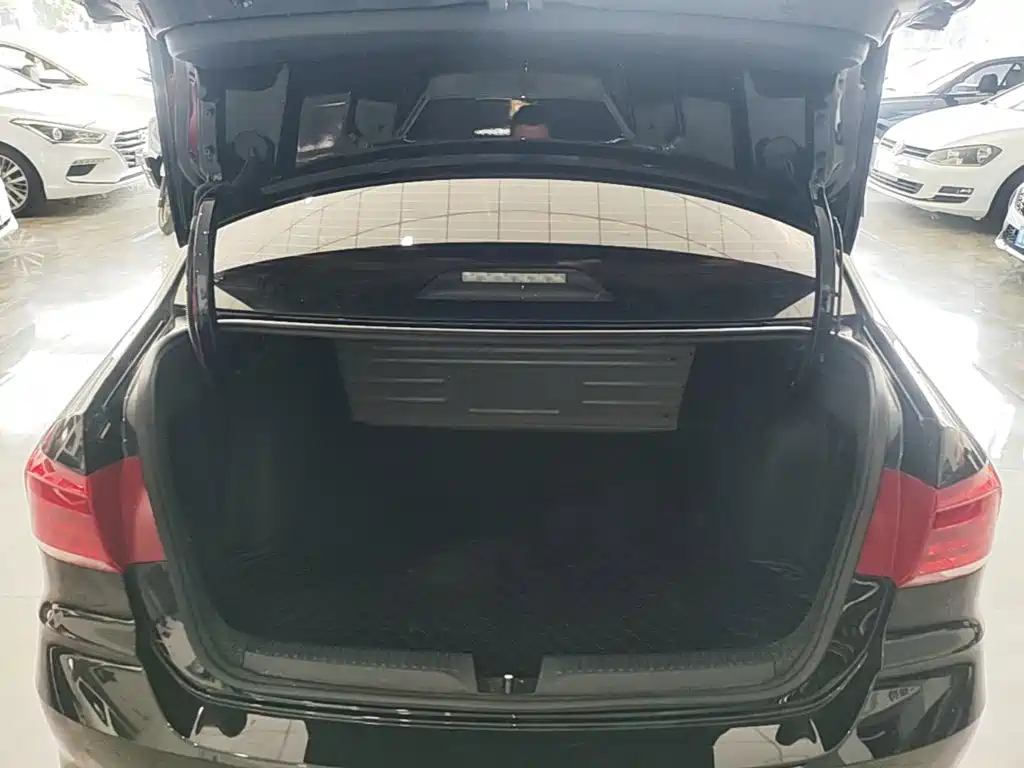 Volkswagen Santana — миниатюра 19