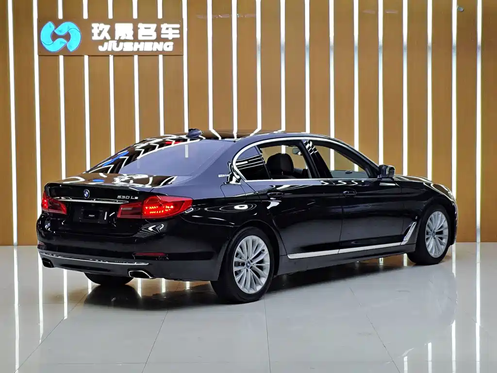 BMW 5 Series New Energy — миниатюра 4