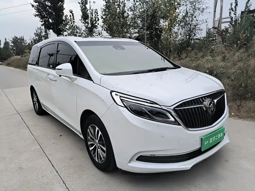 Buick GL8 — миниатюра 22