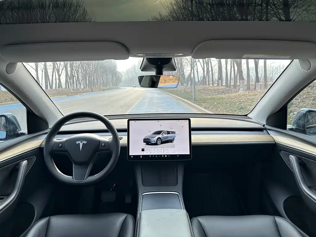 TESLA MODEL Y