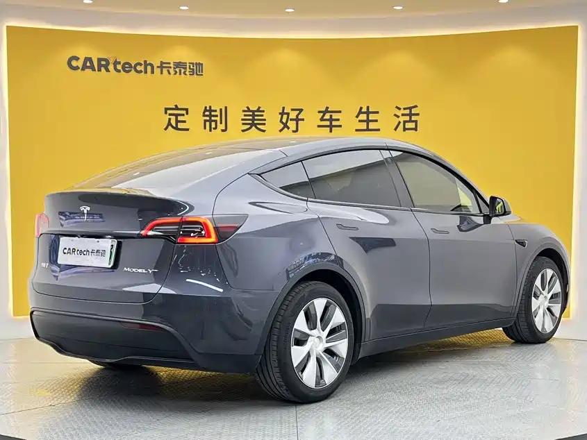 Tesla Model Y — миниатюра 4