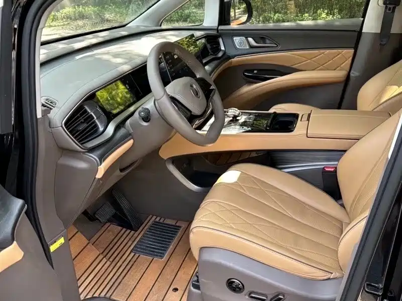 Denza Denza D9 — миниатюра 4