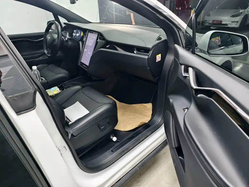 Tesla Model X — миниатюра 9
