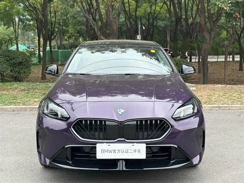 BMW 2 Series — миниатюра 2