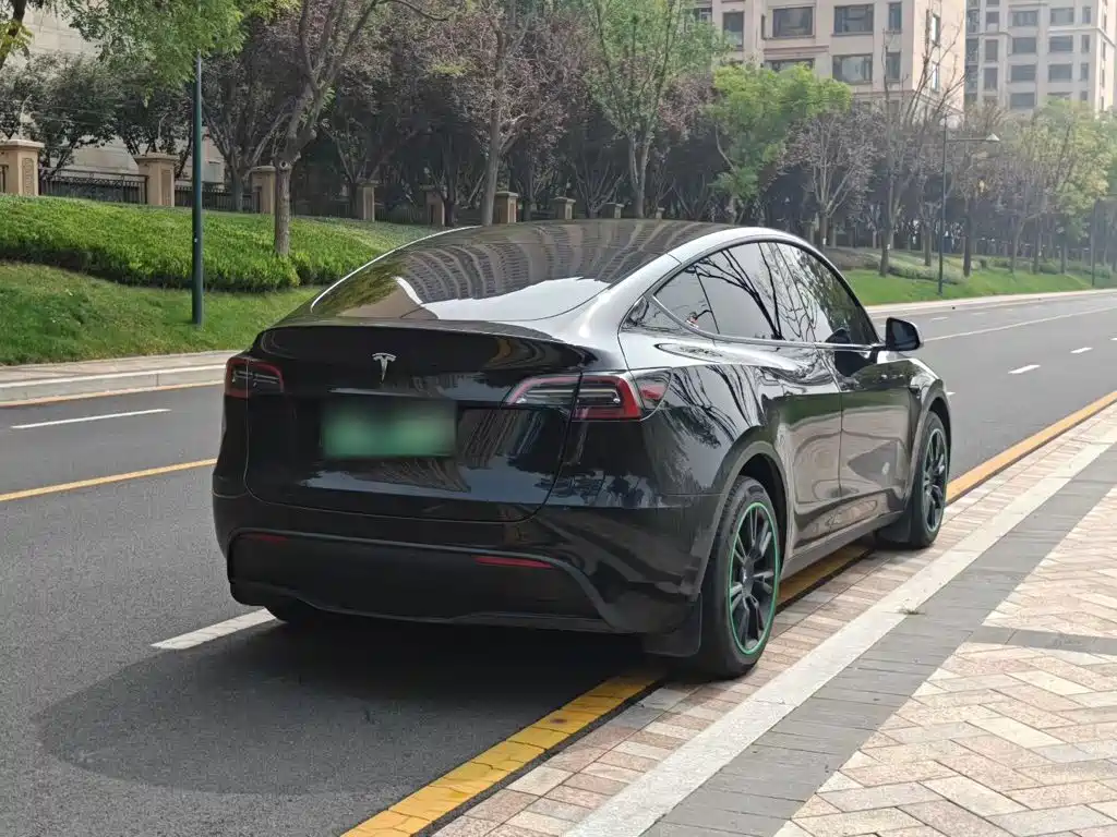 Tesla Model Y — миниатюра 7