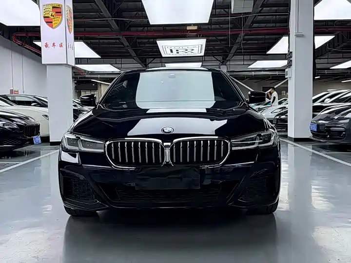 BMW 5 Series — миниатюра 2