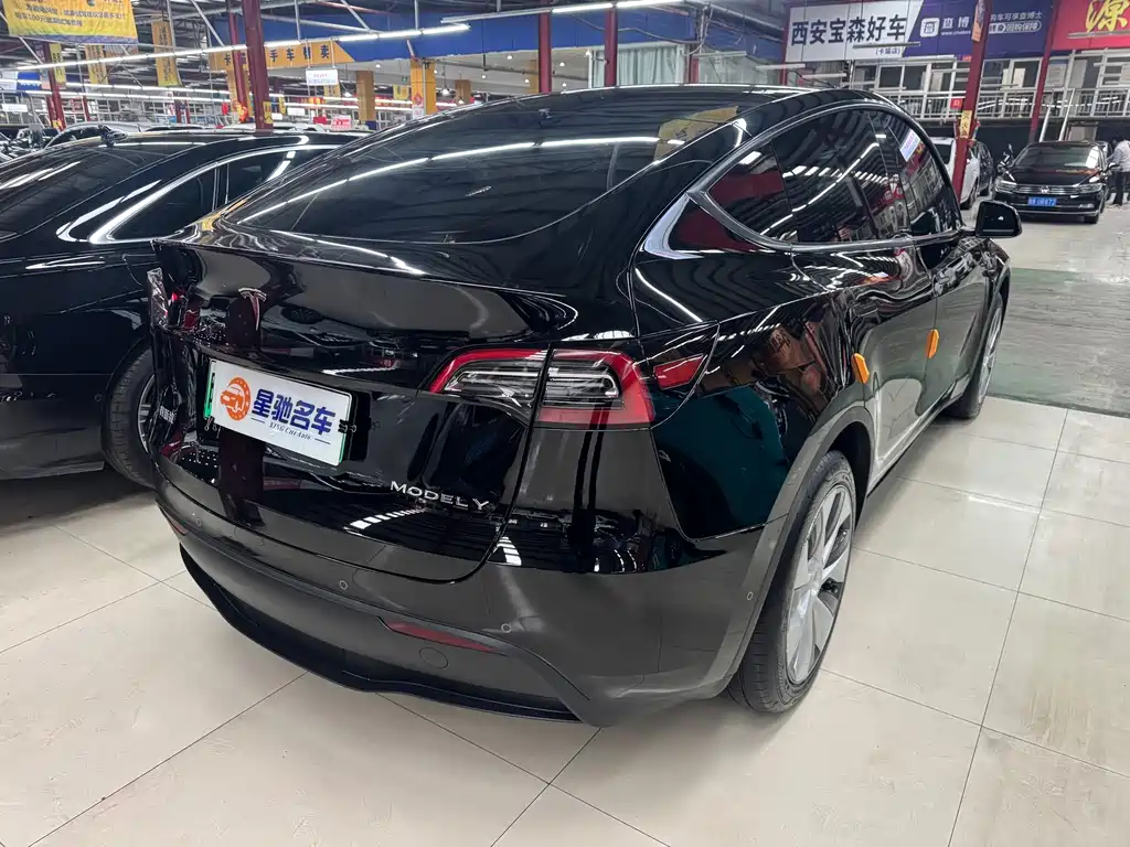 Tesla Model Y — миниатюра 12