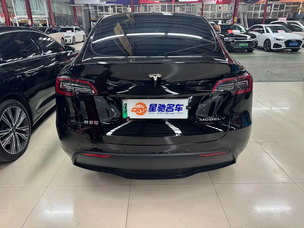 Tesla Model Y — миниатюра 13
