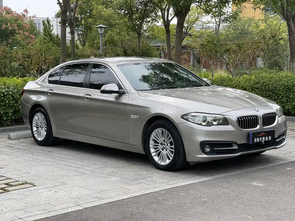 BMW 5 Series — миниатюра 3