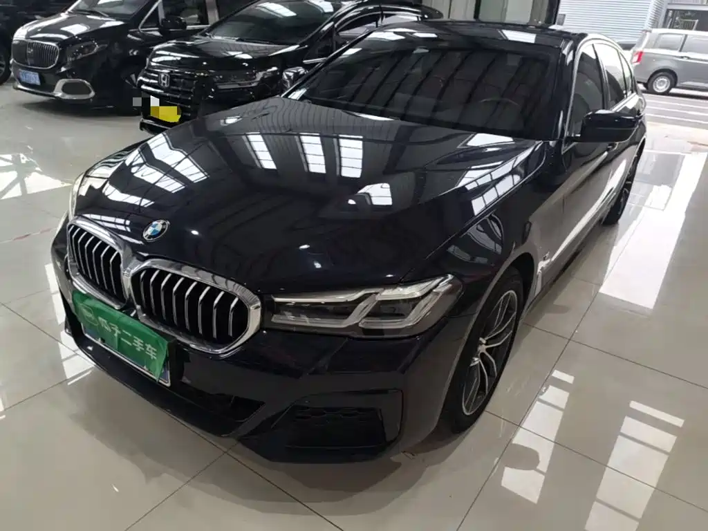 BMW 5 Series — миниатюра 2