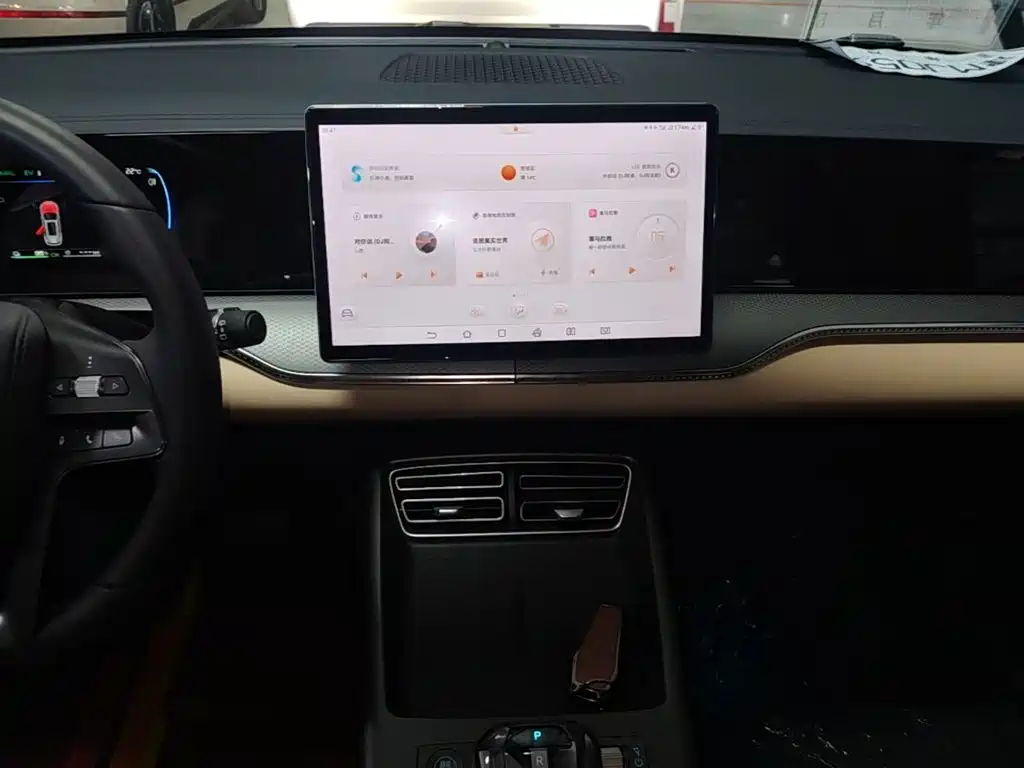 BYD Pro New Energy — миниатюра 13