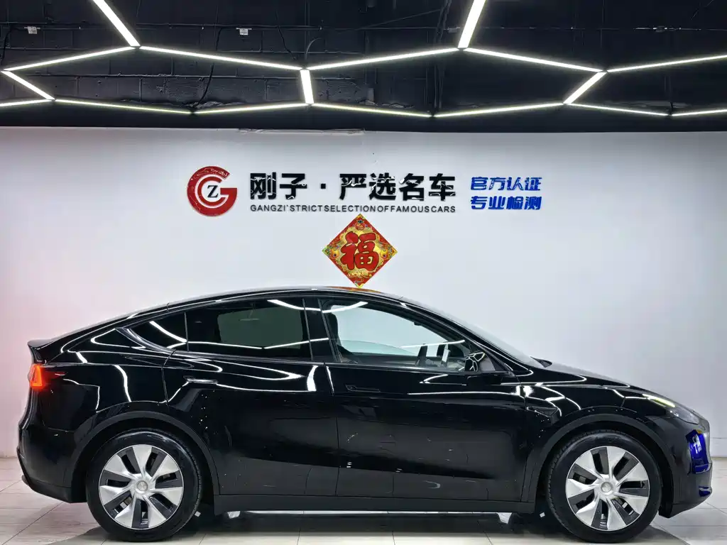 Tesla Model Y — миниатюра 16