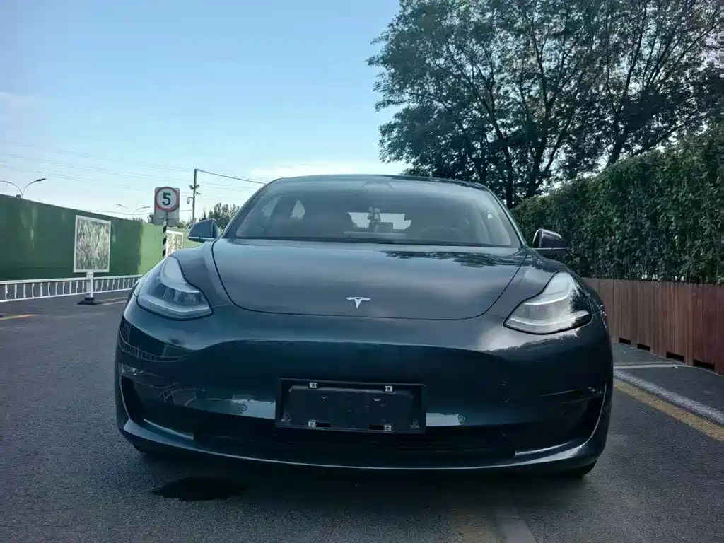 Tesla Model 3 — миниатюра 2