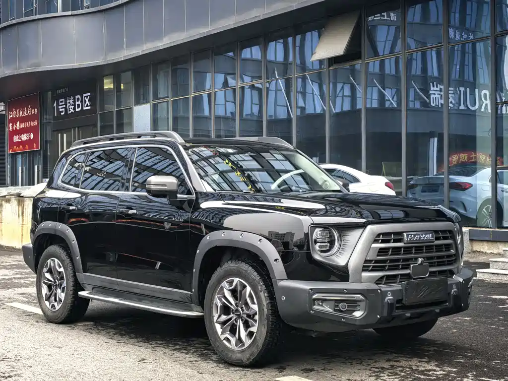 HAVAL BIG DOG
