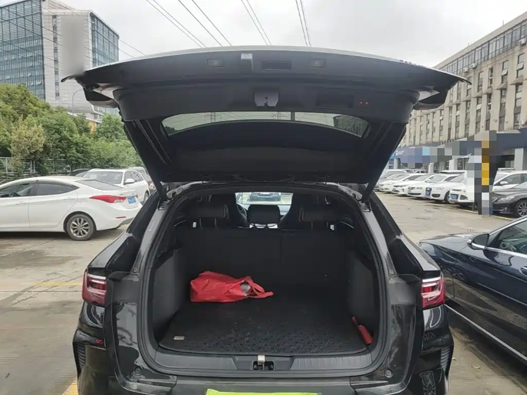 BYD PLUS New Energy — миниатюра 19