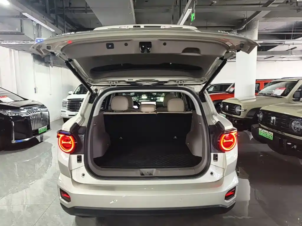 Haval Big Dog PLUS New Energy — миниатюра 19