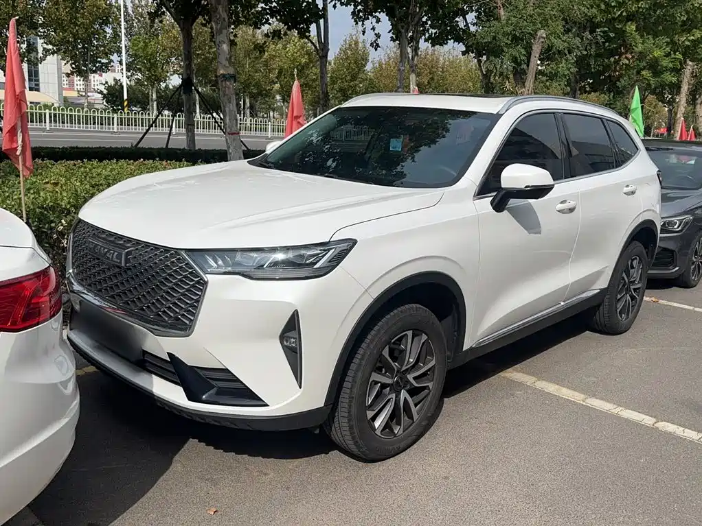 Haval H6 — миниатюра 2
