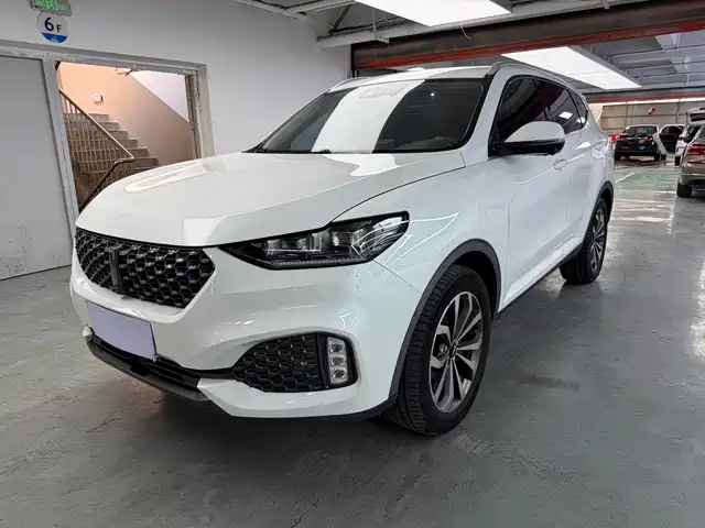 2020 Wey VV6