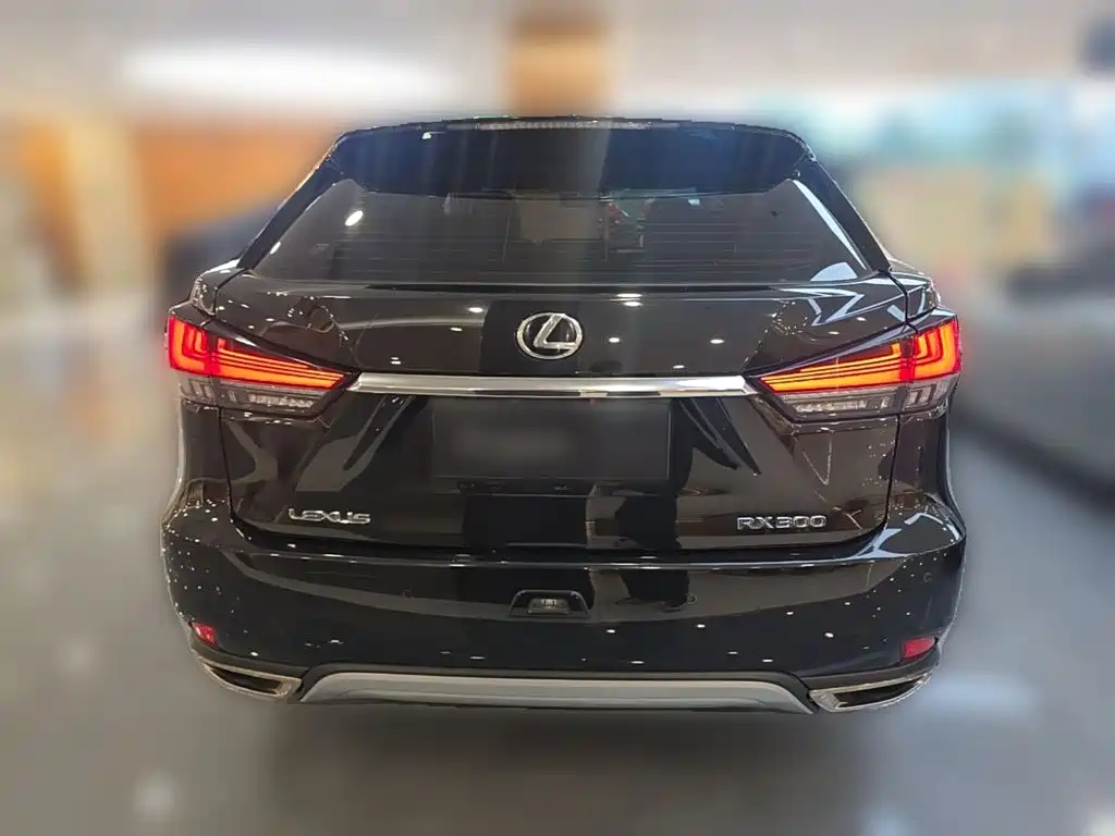 Lexus RX — миниатюра 8