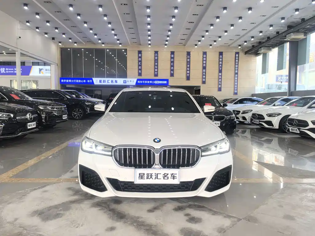 BMW 5 Series — миниатюра 2