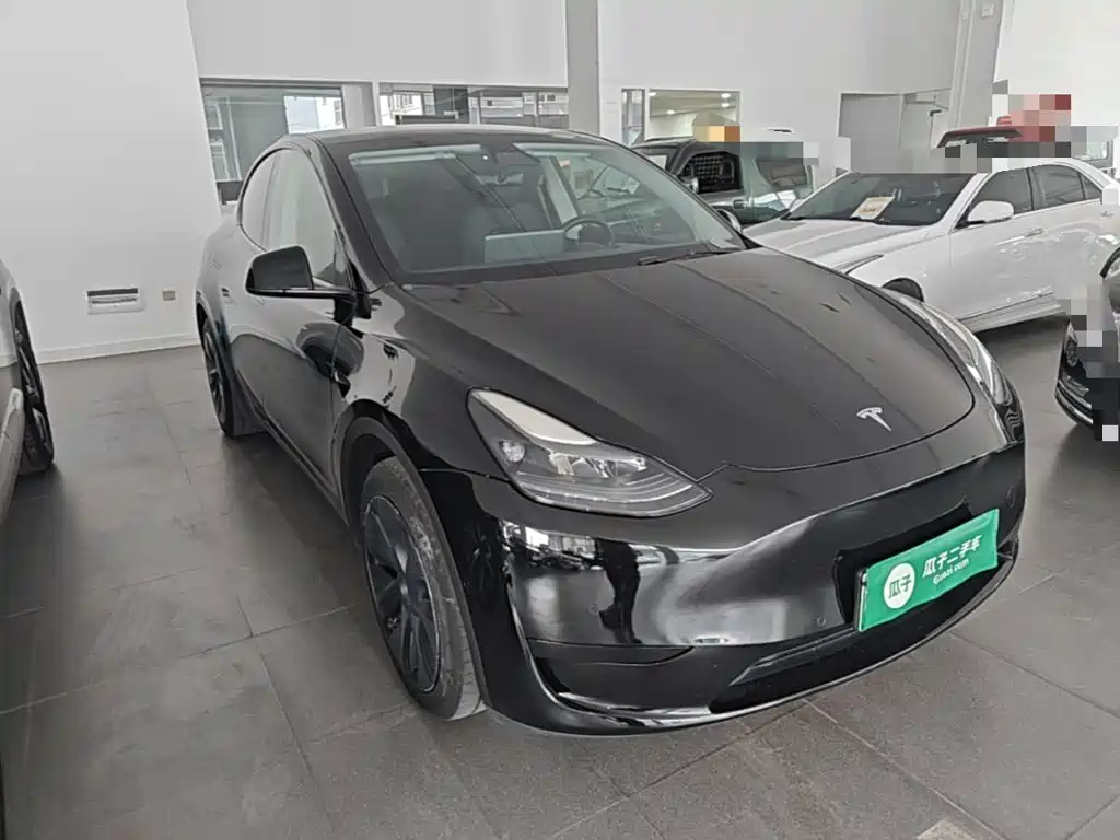Tesla Model Y — миниатюра 4