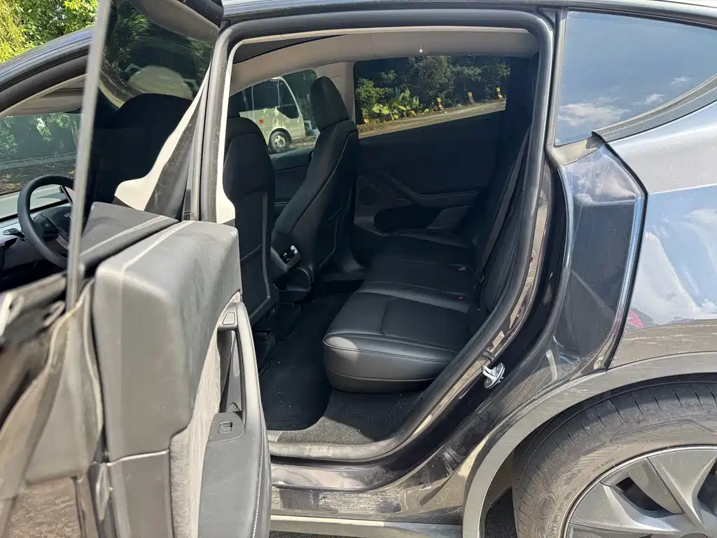 Tesla Model Y — миниатюра 7