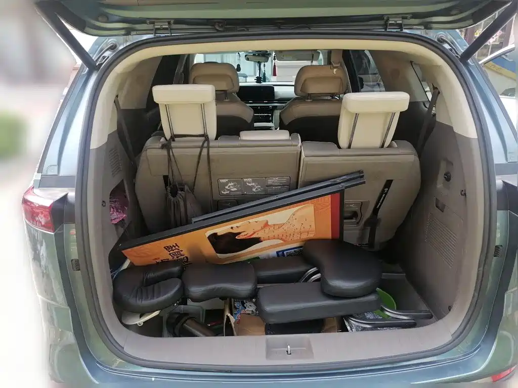 Kia Carnival — миниатюра 10