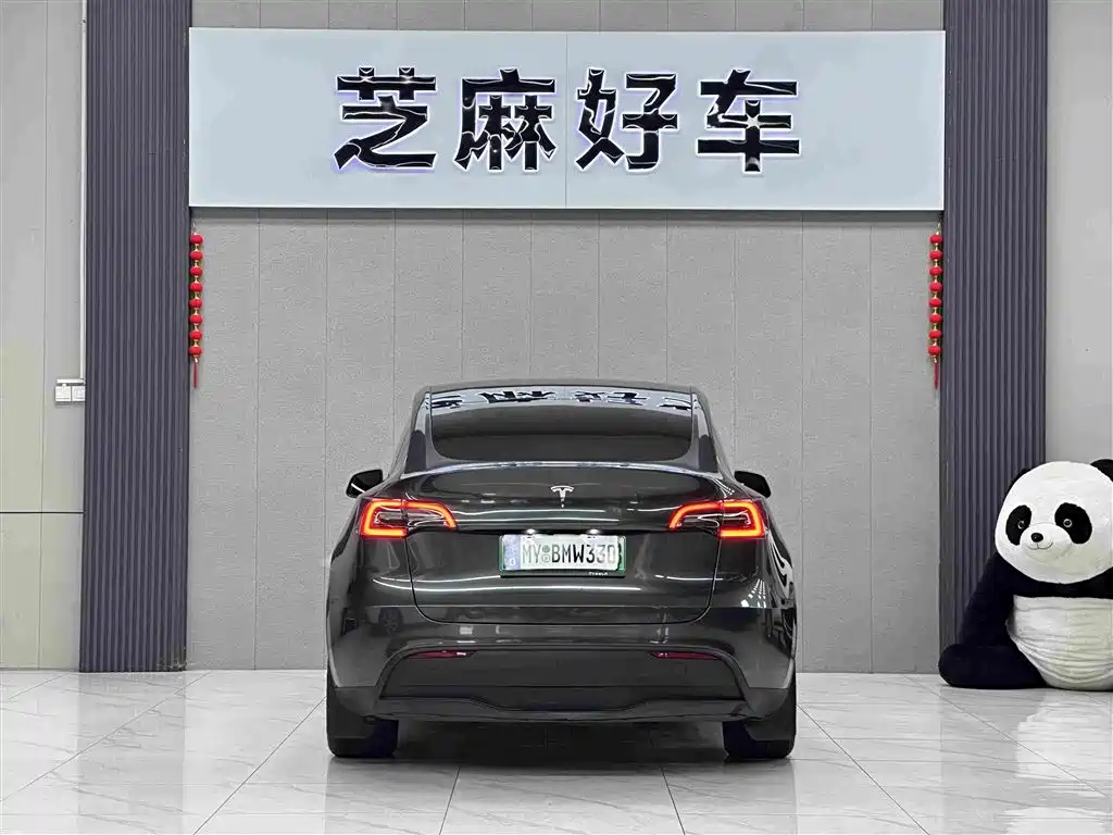 Tesla Model Y — миниатюра 5