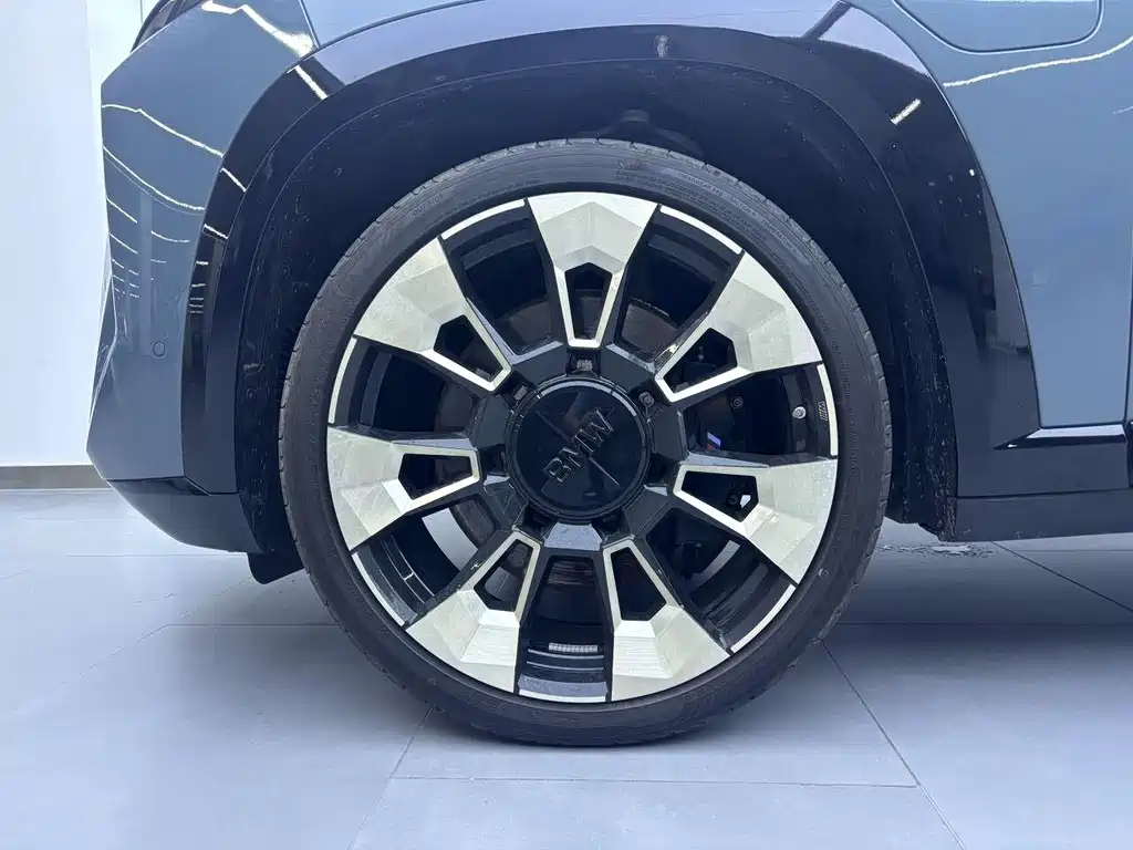 BMW XM Basic Type, фото 10