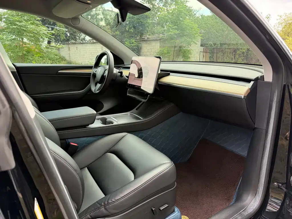 Tesla Model Y — миниатюра 7