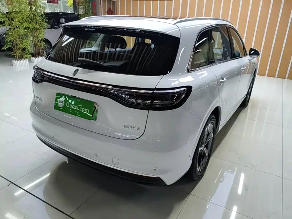 Shangjie Shangjie H5 — миниатюра 7