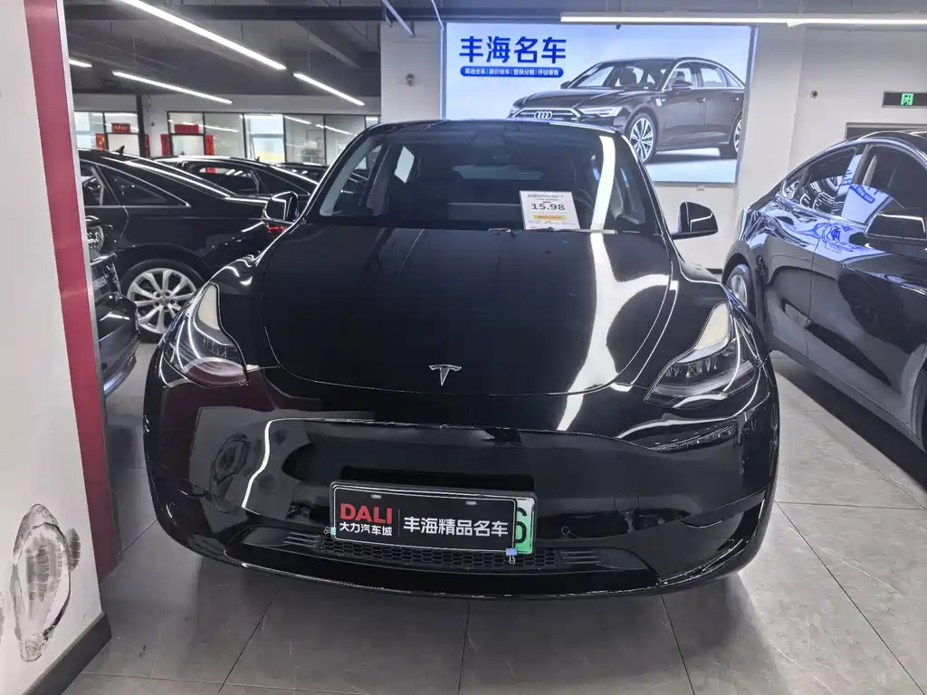 Tesla Model Y — миниатюра 2