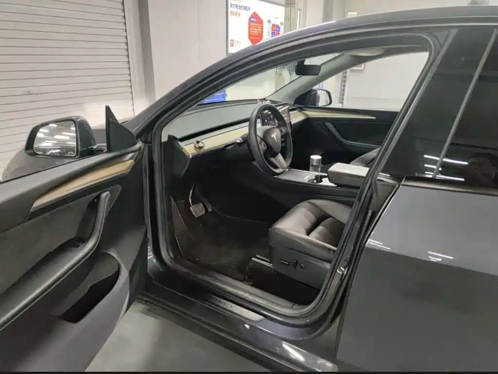 Tesla Model Y — миниатюра 3