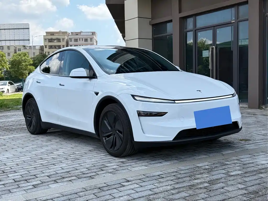 Tesla Model Y — миниатюра 3