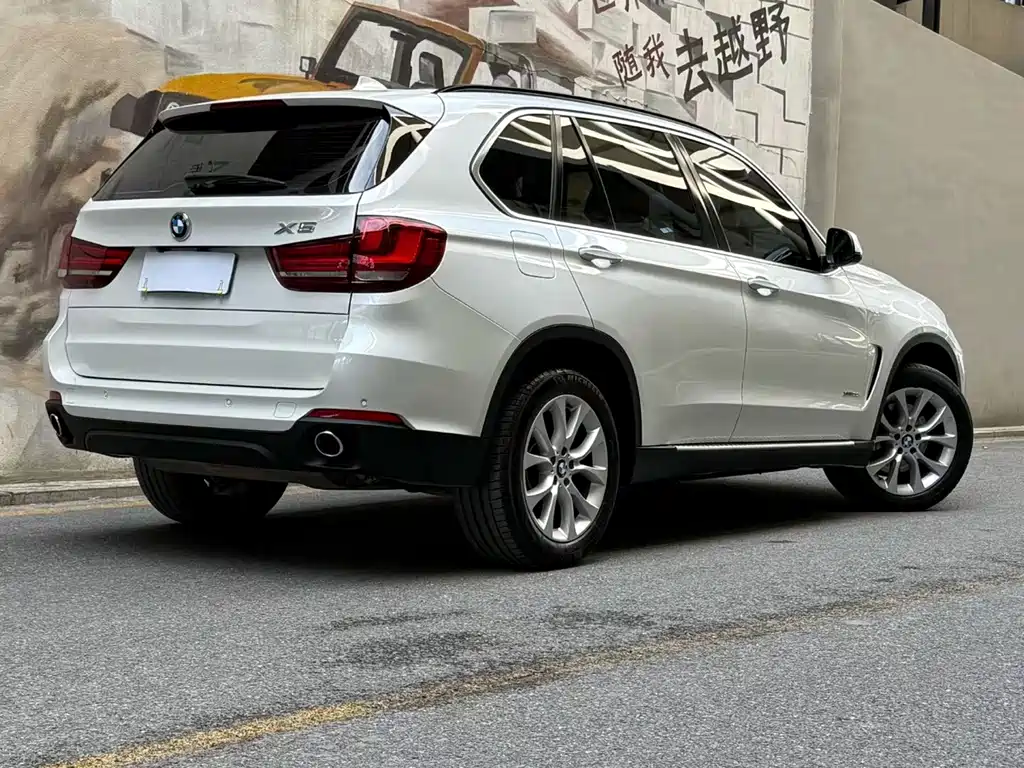 BMW X5 (Import) — миниатюра 2