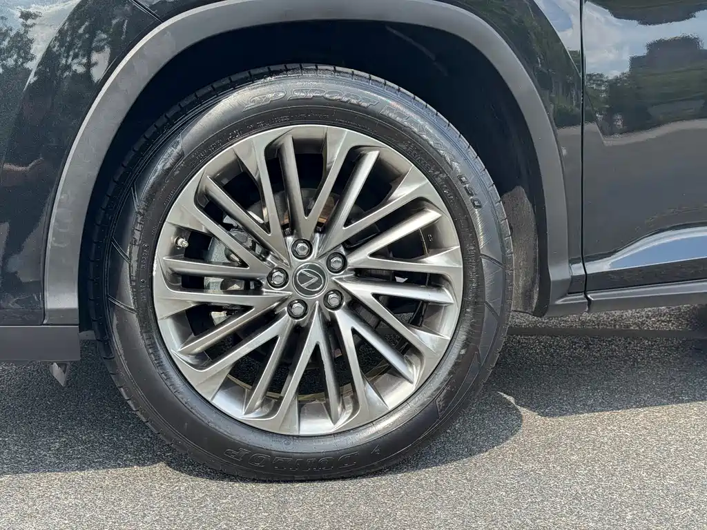 Lexus RX — миниатюра 20