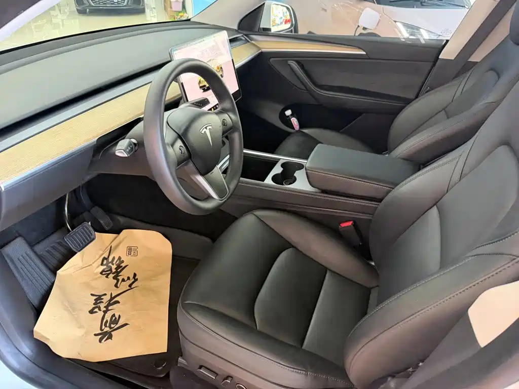 Tesla Model Y — миниатюра 2