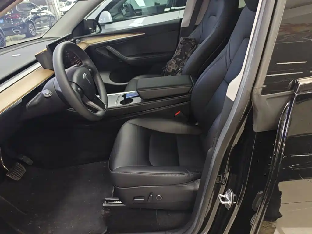 Tesla Model Y — миниатюра 15