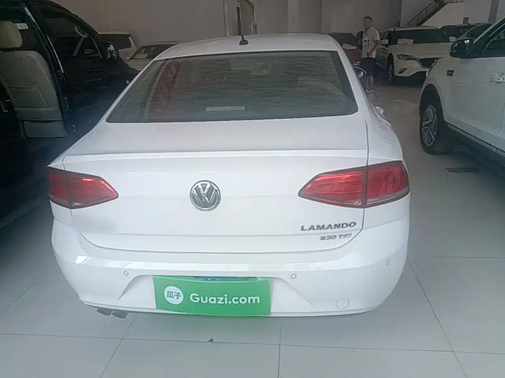Volkswagen Lamando — миниатюра 6