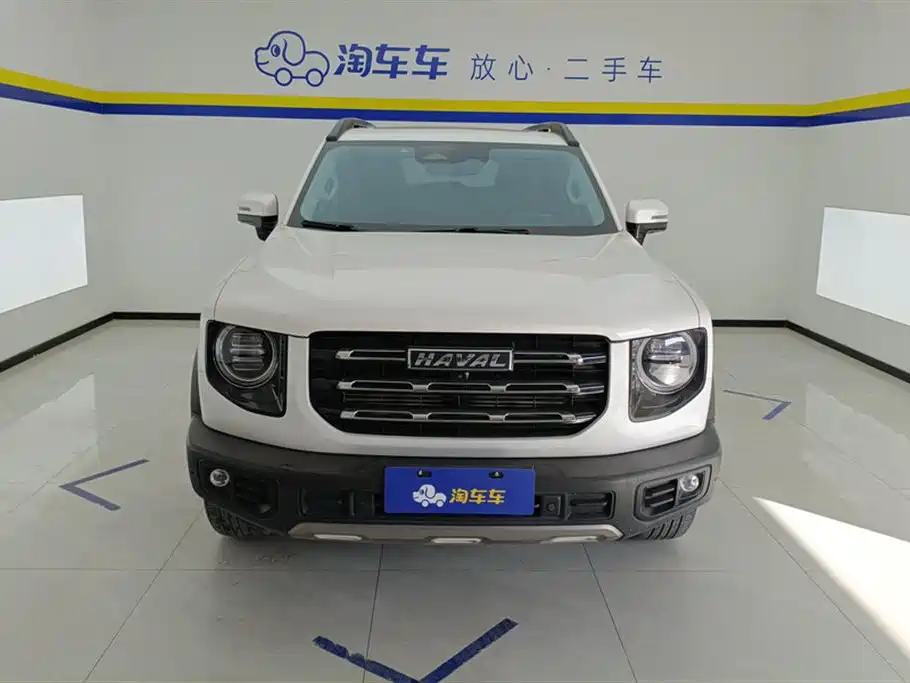 HAVAL BIG DOG