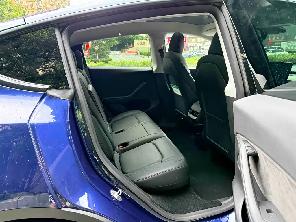 Tesla Model Y — миниатюра 12