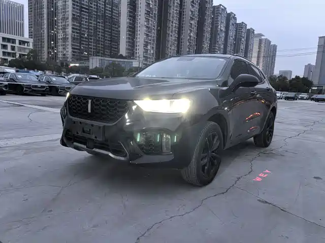 WEI PAI WEI BRAND VV5 2018